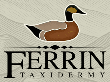 Ferrin Taxidermy