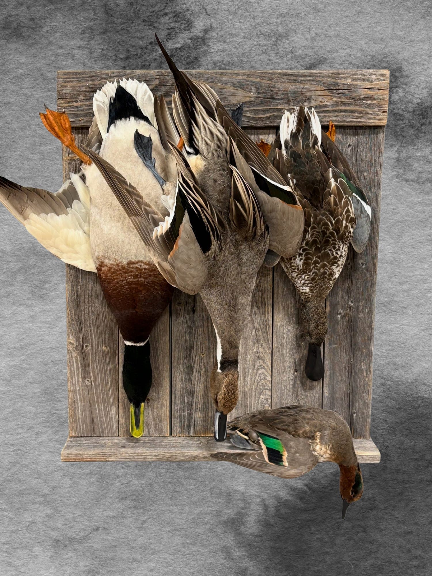 Puddle Duck Sampler